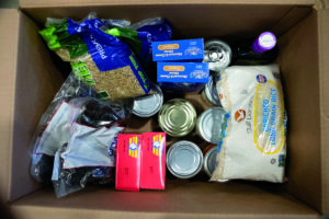 Overhead view of food collected in a box