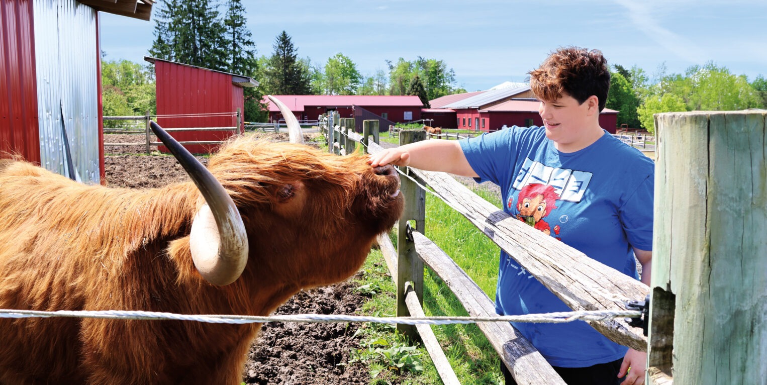 Girl petting a bull