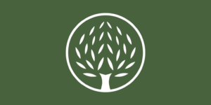 No Text Graphic Logo